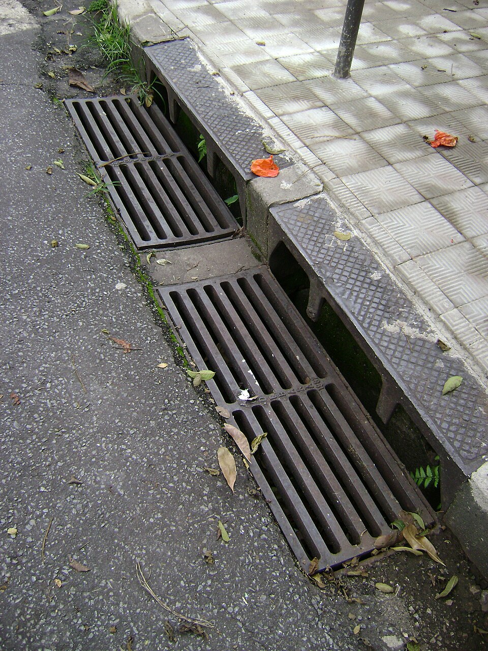 Boca de lobo com grelha junto à sarjeta de uma rua pavimentada.